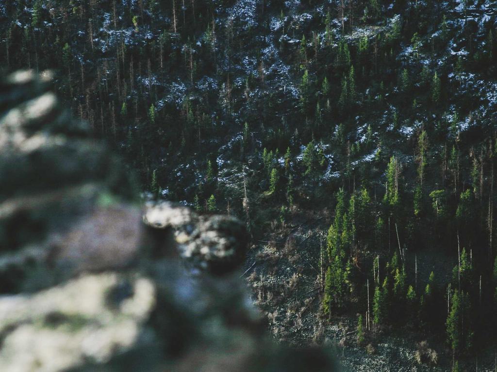 Автоматизация рутинных задач с помощью автономных агентов и скриптов.