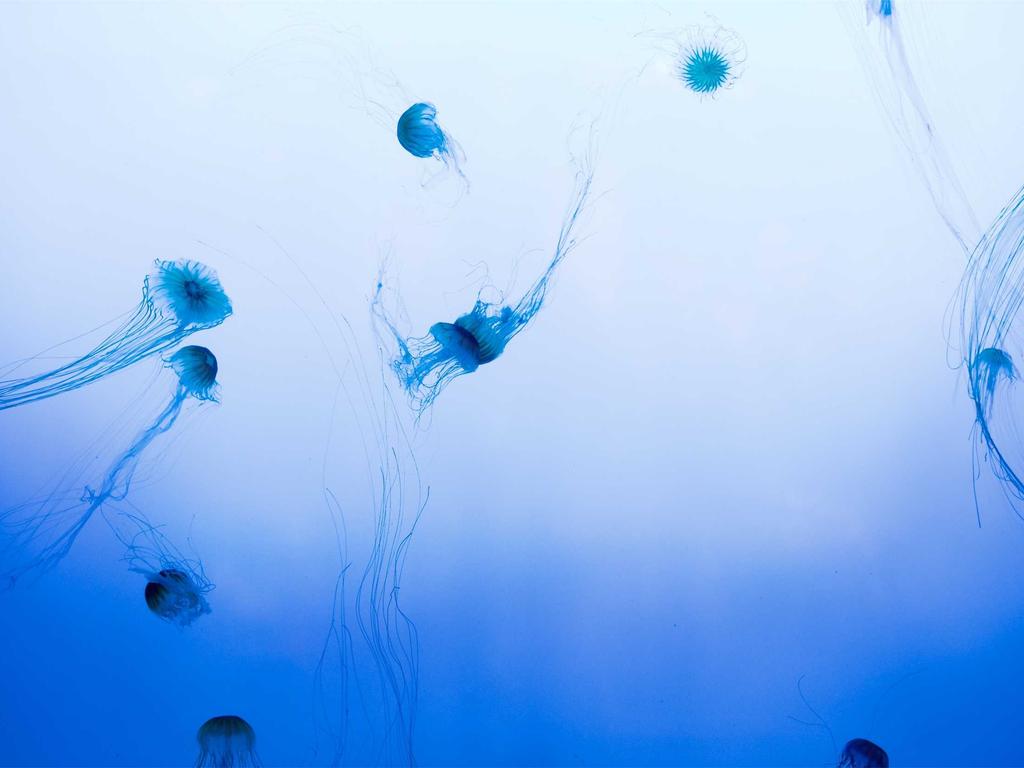 Ускорение инференса крупномасштабных языковых моделей для промышленного применения